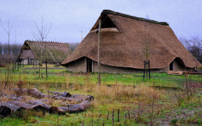 Subsidie voor de Stichting Federatie Broekpolder